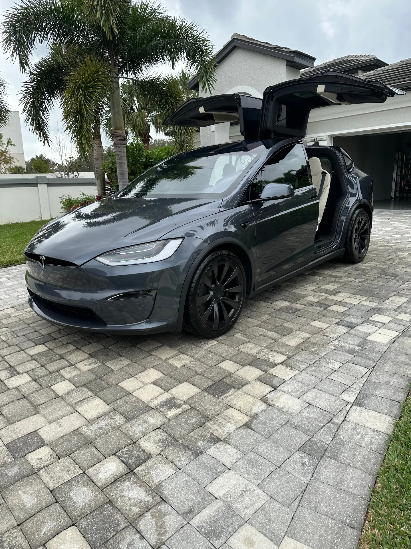 Tesla detailed by Colombian Detailing in Richland